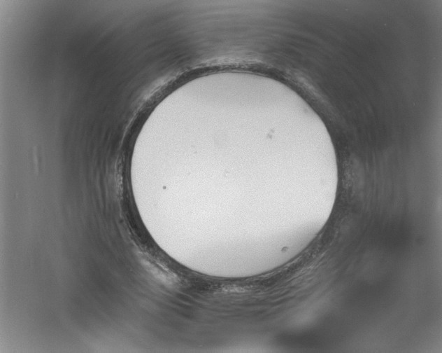 X0000060790632200511101419