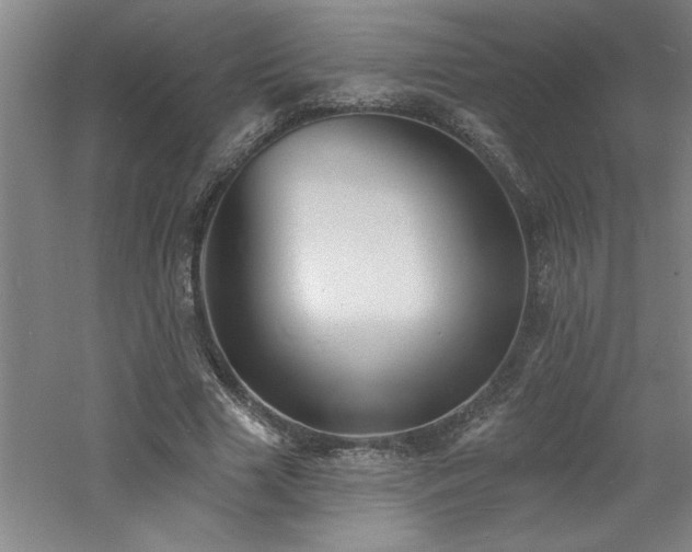 X0000060790633200511101419