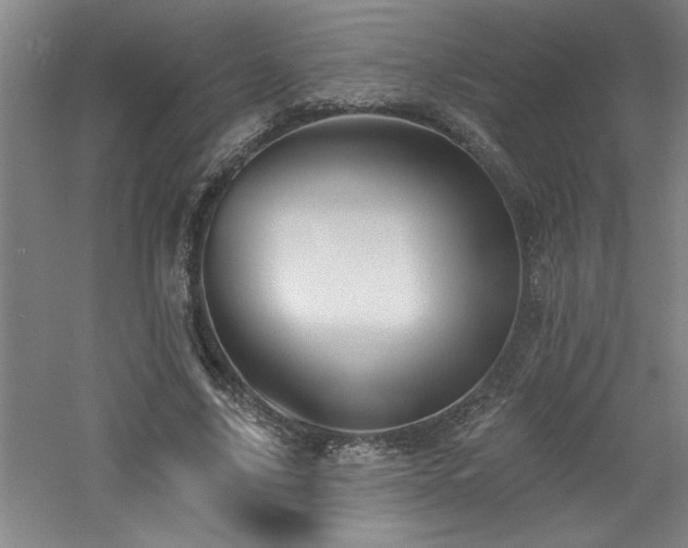 X0000060790635200511101419