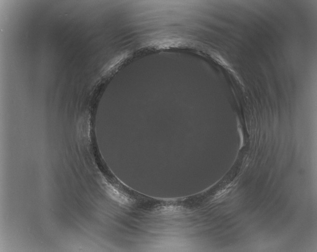 X0000060790637200511101419