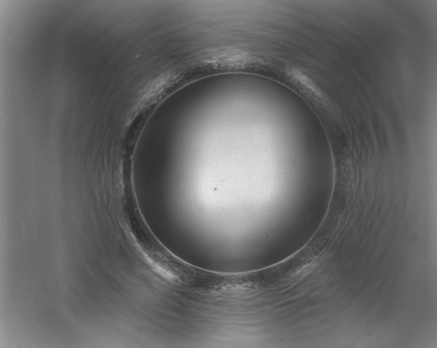 X0000060790638200511101419