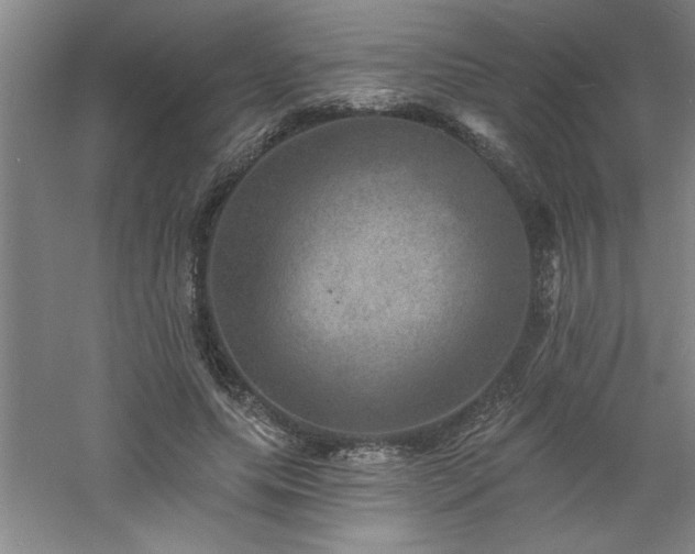 X0000060790639200511101419