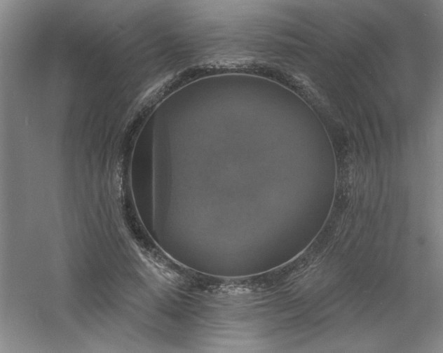 X0000060790640200511101419