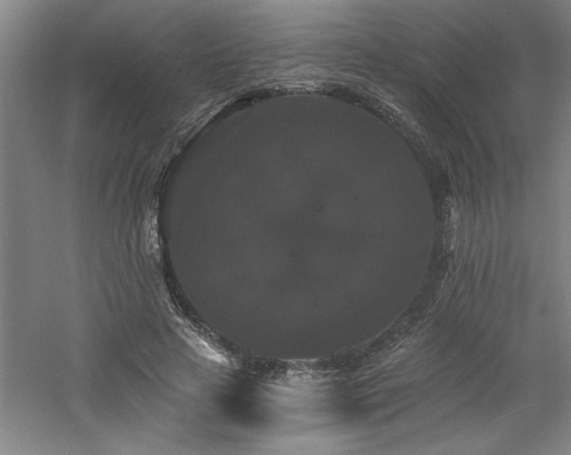 X0000060790641200511101419