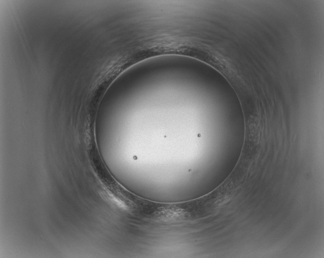 X0000060790642200511101419