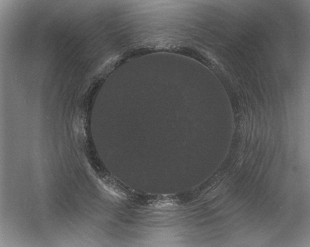 X0000060790643200511101419