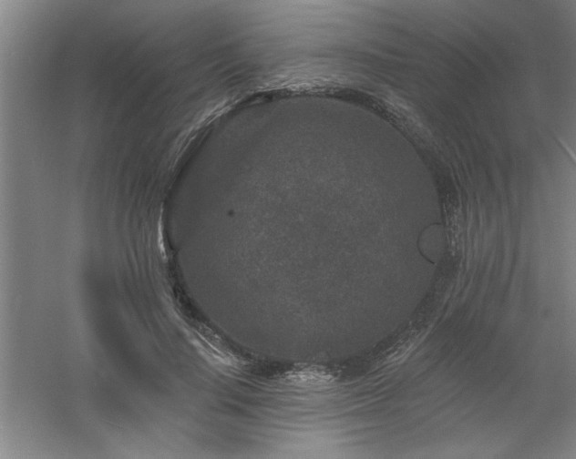 X0000060790644200511101419