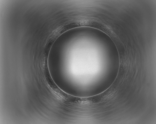 X0000060790645200511101419