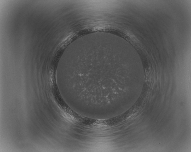 X0000060790648200511101420