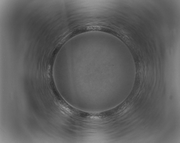 X0000060790649200511101420