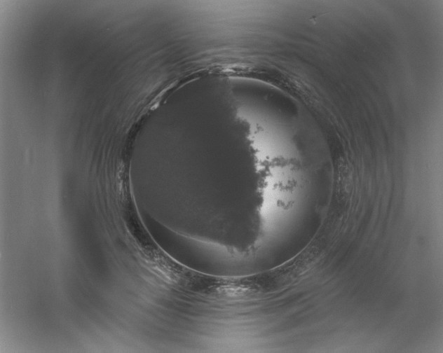 X0000060790650200511101420