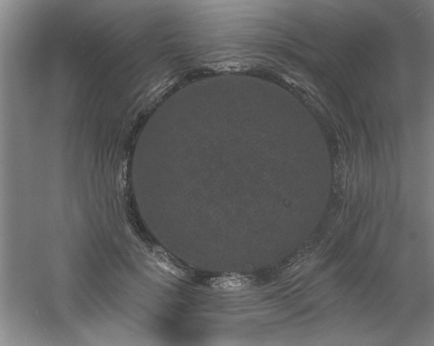 X0000060790652200511101420