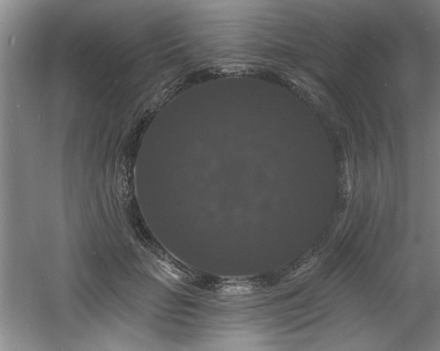 X0000060790653200511101420