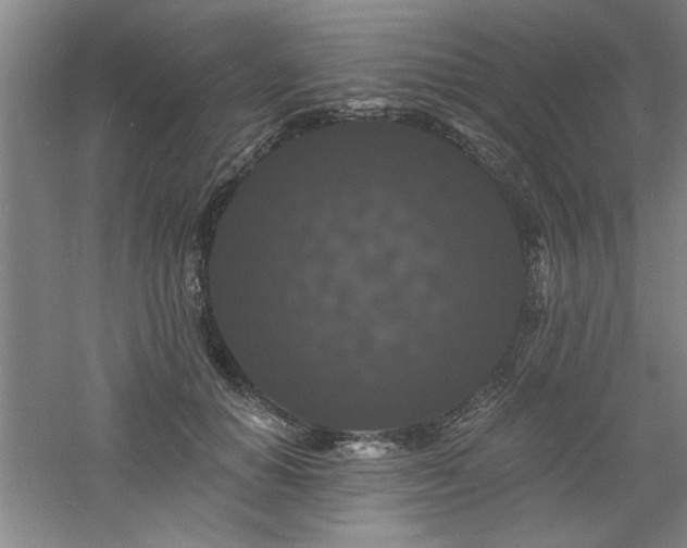 X0000060790654200511101420