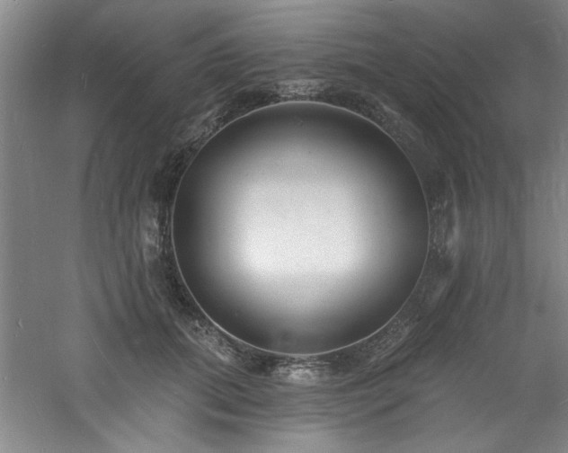 X0000060790655200511101420