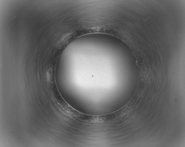 X0000060790656200511101420