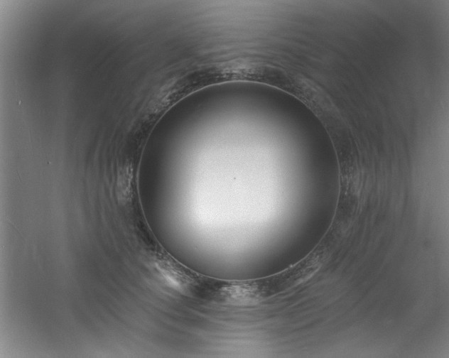 X0000060790660200511101420