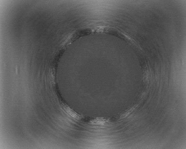 X0000060790661200511101420