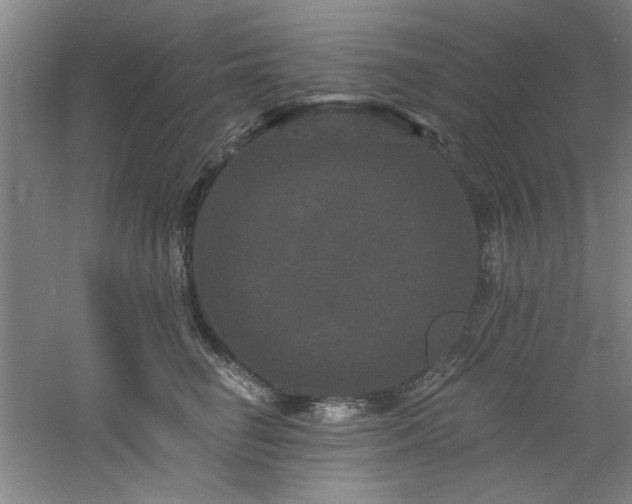 X0000060790662200511101420