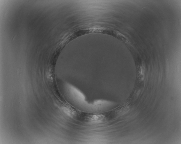 X0000060790663200511101420