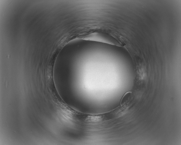 X0000060790665200511101420