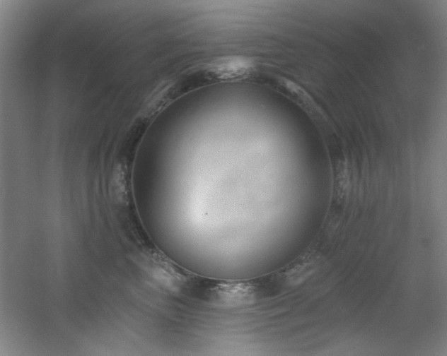 X0000060790667200511101420