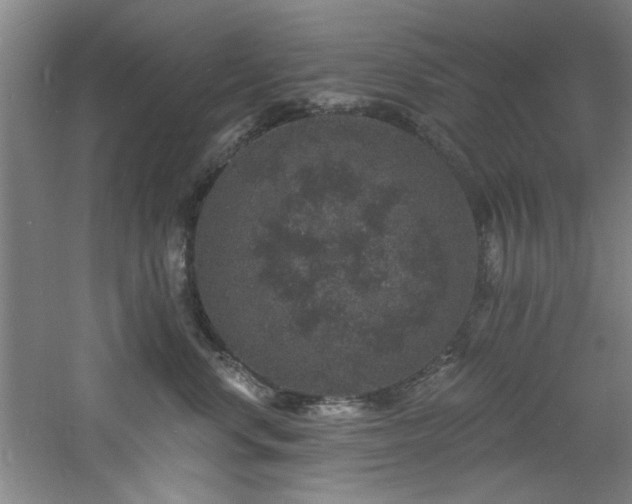 X0000060790668200511101420