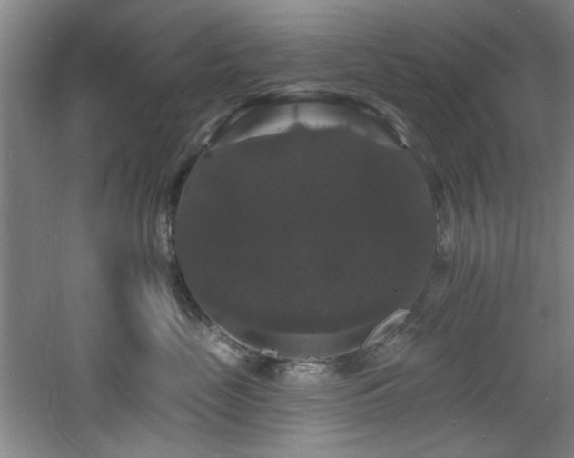 X0000060790669200511101420