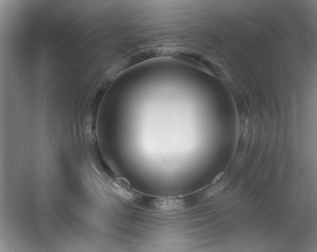 X0000060790670200511101420