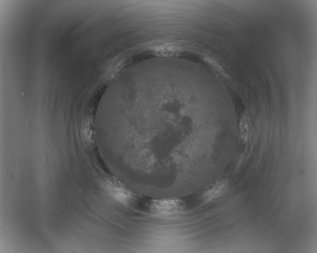 X0000060790671200511101420