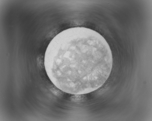 X0000060790672200511101420