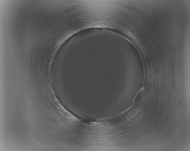 X0000060790673200511101419