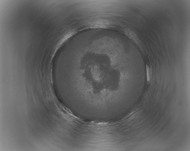 X0000060790675200511101419