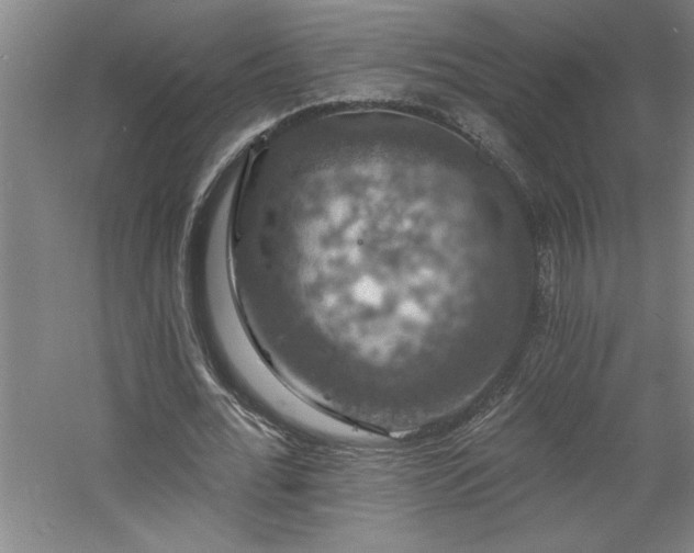 X0000060790676200511101419