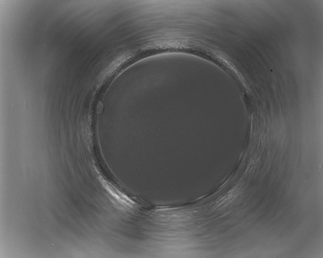 X0000060790677200511101419