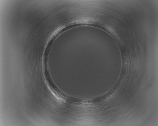 X0000060790678200511101419