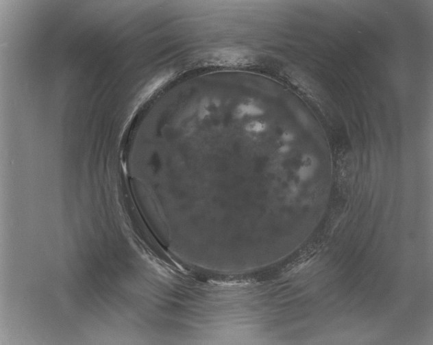 X0000060790679200511101419