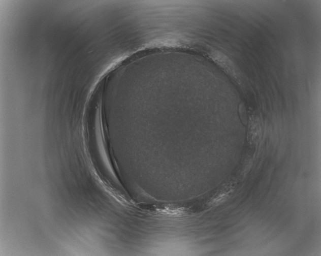 X0000060790680200511101419