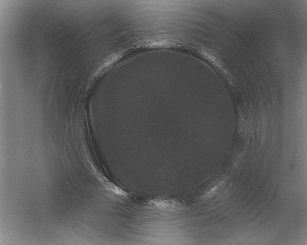 X0000060790681200511101419