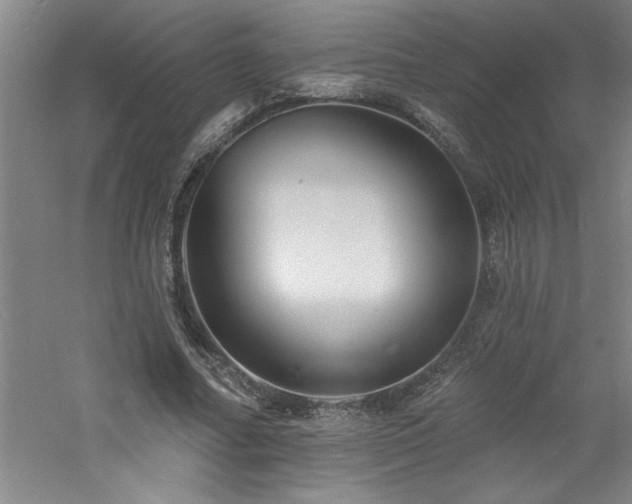 X0000060790682200511101419