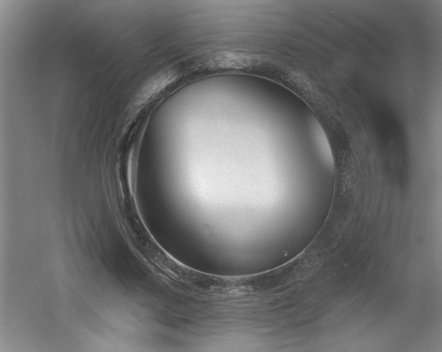 X0000060790683200511101419