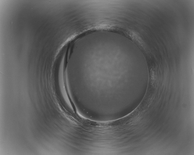 X0000060790684200511101419