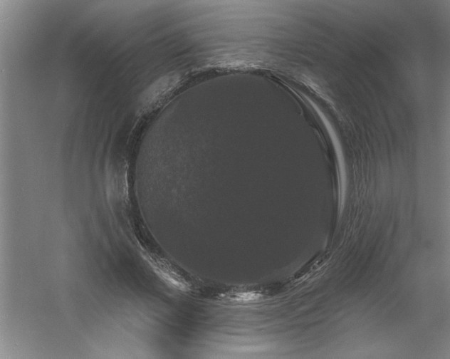 X0000060790685200511101419