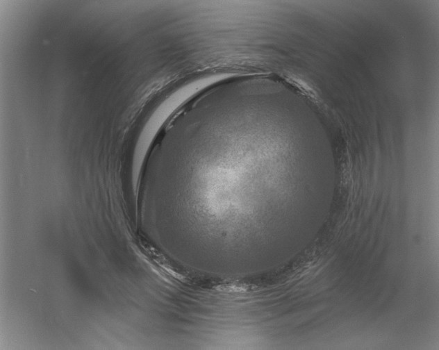 X0000060790687200511101419