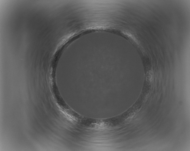 X0000060790688200511101419