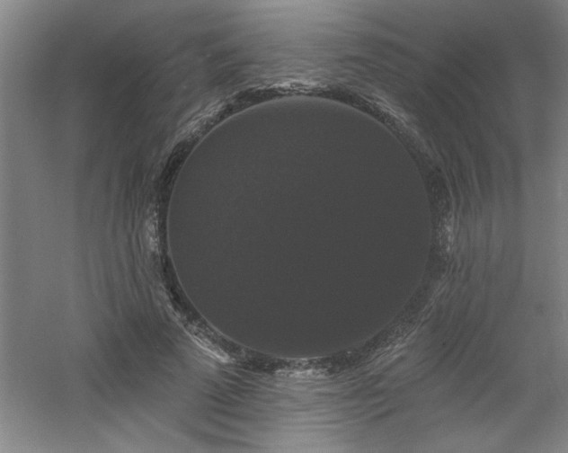 X0000060790689200511101419