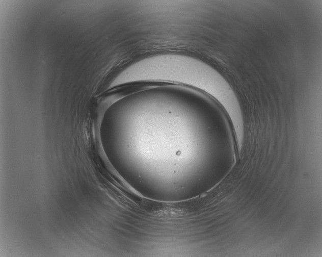 X0000060790691200511101419