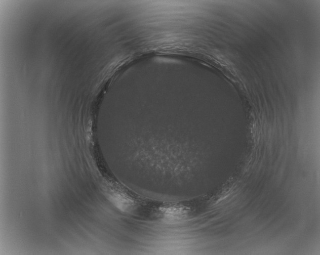 X0000060790693200511101419