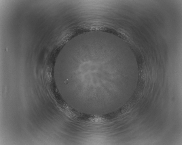 X0000060790695200511101419