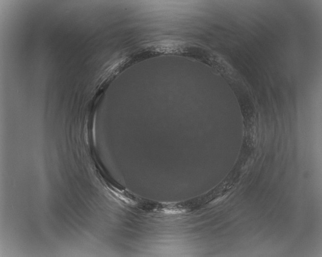 X0000060790696200511101419